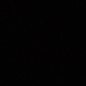 Meet your Posher, Bailey